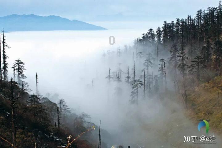 绝地求生坦克版2